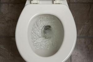 toilet_flushing_5